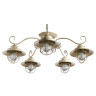 Потолочная люстра Arte Lamp 6 A4579PL-5WG - Потолочная люстра Arte Lamp 6 A4579PL-5WG