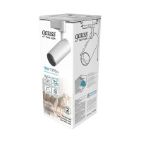  - Трековый светодиодный светильник Gauss Track Light Led TR066