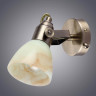 Спот Arte Lamp A9582AP-1AB - Спот Arte Lamp A9582AP-1AB