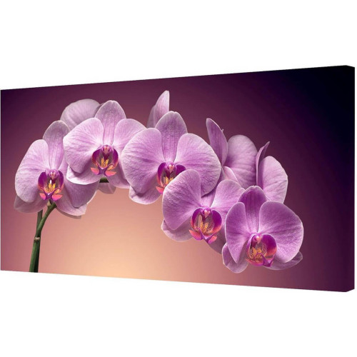 Холст Toplight 50х100х3см TL-H0003 