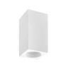 Потолочный светильник Denkirs DK5002-GY - Потолочный светильник Denkirs DK5002-GY