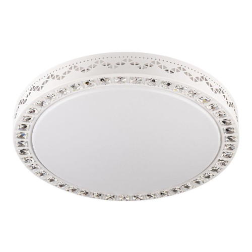 Потолочный светодиодный светильник Escada 10222/S LED 