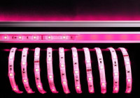  - Лента светодиодная Deko-Light 5050-30-24V-RGB-5m 532551