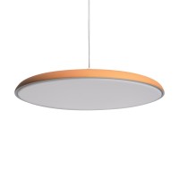  - Подвесной светодиодный светильник Loft IT Plato 10119 Orange