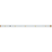  - Лента RT 2-5000 24V White6000 0.5x (3528, 150 LED, LUX) (Arlight, 2.9 Вт/м, IP20)