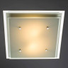 Потолочный светильник Arte Lamp A4868PL-2CC - Потолочный светильник Arte Lamp A4868PL-2CC