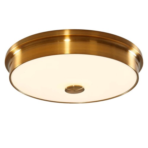 Потолочный светодиодный светильник Citilux Фостер-2 CL706232 