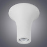 Потолочный светильник Arte Lamp A9461PL-1WH - Потолочный светильник Arte Lamp A9461PL-1WH