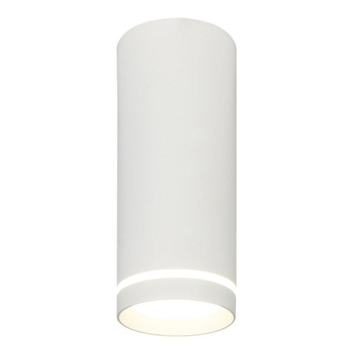 Потолочный светодиодный светильник Escada 20009SMU/02LED SWH 