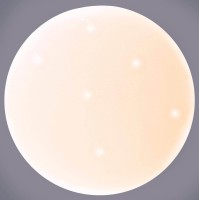  - Потолочный светодиодный светильник Arti Lampadari Vista E 1.13.49 W