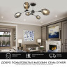 Потолочная люстра Seven Fires Betney SF3330/6C-BK-CR-SMK - Потолочная люстра Seven Fires Betney SF3330/6C-BK-CR-SMK