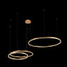 Подвесной светодиодный светильник Loft IT Ring 10017/3M - Подвесной светодиодный светильник Loft IT Ring 10017/3M