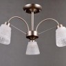 Потолочная люстра Elvan LU-38460/3-E14-Si+Wh - Потолочная люстра Elvan LU-38460/3-E14-Si+Wh