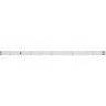 Лента RT 2-5000 24V Day4000 0.5x (3528, 150 LED, LUX) (Arlight, 2.9 Вт/м, IP20) - Лента RT 2-5000 24V Day4000 0.5x (3528, 150 LED, LUX) (Arlight, 2.9 Вт/м, IP20)