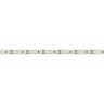Лента RT 2-5000 12V Yellow 2x (3528, 600 LED, LUX) (Arlight, 9.6 Вт/м, IP20) - Лента RT 2-5000 12V Yellow 2x (3528, 600 LED, LUX) (Arlight, 9.6 Вт/м, IP20)