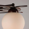 Потолочная люстра Omnilux OML-50507-05 - Потолочная люстра Omnilux OML-50507-05