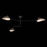 Потолочная люстра ST Luce Spruzzo SL305.402.03 - Потолочная люстра ST Luce Spruzzo SL305.402.03