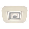 Потолочный светодиодный светильник Escada Casket 10220/SG LED - Потолочный светодиодный светильник Escada Casket 10220/SG LED