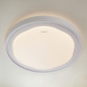 Потолочный светильник Eurosvet 40006/1 LED белый - Потолочный светильник Eurosvet 40006/1 LED белый