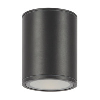  - Потолочный светильник Outdoor O306CL-L12GF