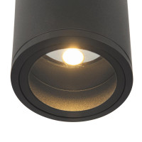  - Потолочный светильник Outdoor O306CL-L12GF