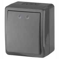  - Выключатель одноклавишный с подсветкой ЭРА Эксперт 10AX 250V IP54 11-1402-03 Б0020672