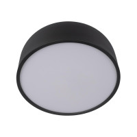  - Потолочный светодиодный светильник Loft IT Axel 10201/350 Black
