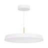Светильник SP-ELEGANT-R500-37W Warm3000 (WH, 120 deg, 230V) (Arlight, IP20 Металл, 3 года) - Светильник SP-ELEGANT-R500-37W Warm3000 (WH, 120 deg, 230V) (Arlight, IP20 Металл, 3 года)
