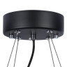 Подвесная люстра Lightstar Globo 803167 - Подвесная люстра Lightstar Globo 803167
