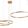 Подвесной светодиодный светильник Loft IT Ring 10017/3S - Подвесной светодиодный светильник Loft IT Ring 10017/3S