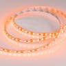 Лента RT 2-5000 12V Orange 2X (3528, 600 LED, LUX) (Arlight, 9.6 Вт/м, IP20) - Лента RT 2-5000 12V Orange 2X (3528, 600 LED, LUX) (Arlight, 9.6 Вт/м, IP20)