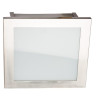 Потолочный светильник Arte Lamp Spruzzi A6064PL-2SS - Потолочный светильник Arte Lamp Spruzzi A6064PL-2SS