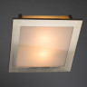 Потолочный светильник Arte Lamp Spruzzi A6064PL-2SS - Потолочный светильник Arte Lamp Spruzzi A6064PL-2SS