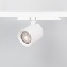 Сетчатый фильтр с посадочным кольцом LGD-NIKA-HCR-R100 (WH-BK) (Arlight, Металл) - Сетчатый фильтр с посадочным кольцом LGD-NIKA-HCR-R100 (WH-BK) (Arlight, Металл)