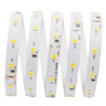 Светодиодная лента Apeyron 48W/m 60Led/m 2835SMD теплый белый 5M 00-369 - Светодиодная лента Apeyron 48W/m 60Led/m 2835SMD теплый белый 5M 00-369