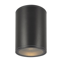  - Потолочный светильник Outdoor O306CL-L7GF