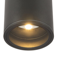  - Потолочный светильник Outdoor O306CL-L7GF