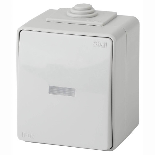 Выключатель одноклавишный с подсветкой ЭРА Эксперт 10AX 250V IP65 11-1602-03 Б0035974 