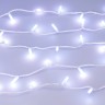 Светодиодная гирлянда ARD-STRING-CLASSIC-10000-WHITE-100LED-MILK-LIVE RGB-DMX (24V, 10W) (Ardecoled, IP65) - Светодиодная гирлянда ARD-STRING-CLASSIC-10000-WHITE-100LED-MILK-LIVE RGB-DMX (24V, 10W) (Ardecoled, IP65)
