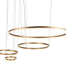 Подвесной светодиодный светильник Loft IT Ring 10017/4L - Подвесной светодиодный светильник Loft IT Ring 10017/4L