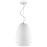 Подвесной светильник Lightstar Arnia 805012 - Подвесной светильник Lightstar Arnia 805012