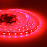 Светодиодная лента Apeyron 14,4W/m 60LED/m 5050SMD красный 5M 48BL - Светодиодная лента Apeyron 14,4W/m 60LED/m 5050SMD красный 5M 48BL