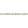 Лента RTW 2-5000PS 24V Day5000 2x (2835, 160 LED/m, LUX) (Arlight, 12 Вт/м, IP67) - Лента RTW 2-5000PS 24V Day5000 2x (2835, 160 LED/m, LUX) (Arlight, 12 Вт/м, IP67)