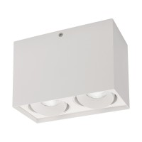  - Светильник SP-CUBUS-S100x200-2x11W Day4000 (WH, 40 deg, 230V) (Arlight, IP20 Металл, 3 года)