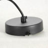 Подвесной светильник Lussole Loft LSP-8498 - Подвесной светильник Lussole Loft LSP-8498