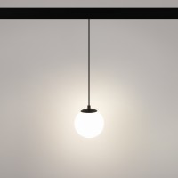  - Светильник MAG-ORIENT-SFERO-HANG-R150-10W Day4000 (BK, 300 deg, 48V) (Arlight, IP20 Металл, 5 лет)