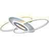 Потолочный светильник Rivoli Sara 6089-105 Б0052410 - Потолочный светильник Rivoli Sara 6089-105 Б0052410