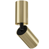  - Потолочный светильник Technical C051CL-01G