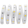 Светодиодная лента Apeyron 7,2W/m 30Led/m 5050SMD дневной белый 5M 00-149 - Светодиодная лента Apeyron 7,2W/m 30Led/m 5050SMD дневной белый 5M 00-149