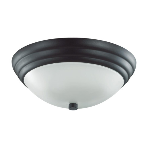 Настенно-потолочный Lumion Kayla 5263/2C 